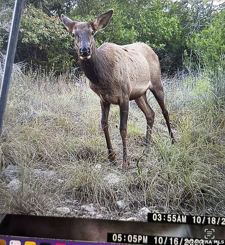 Image 82 of 86 For 97 Coleman Springs