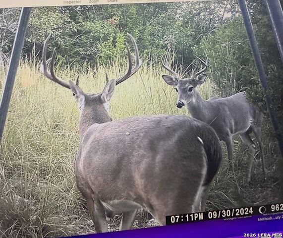 Image 83 of 86 For 97 Coleman Springs