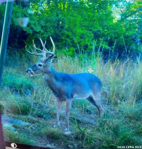 Image 84 of 86 For 97 Coleman Springs