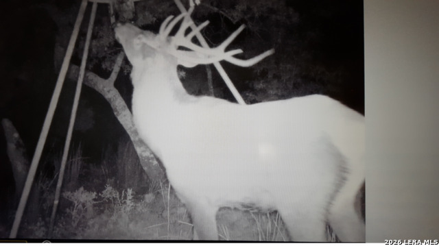 Image 85 of 86 For 97 Coleman Springs