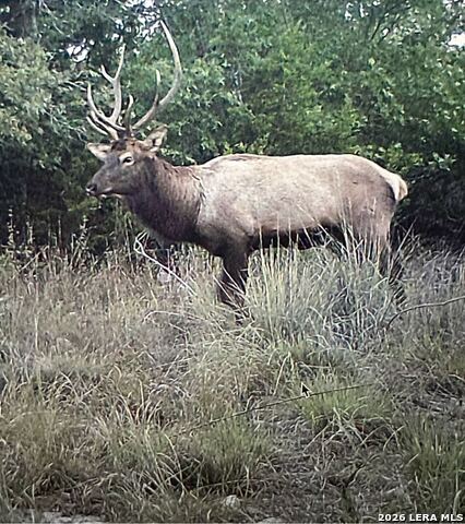Image 86 of 86 For 97 Coleman Springs