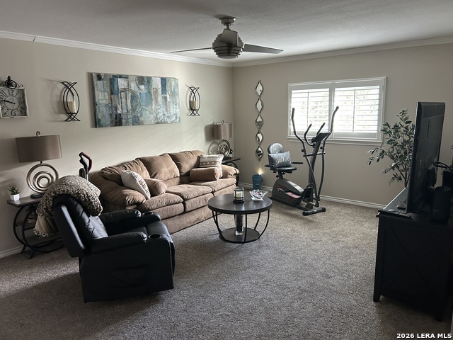 Image 37 of 59 For 12470 Cedar Trl