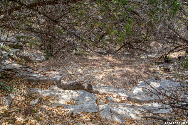 Image 29 of 42 For Tbd Rustling Ridge