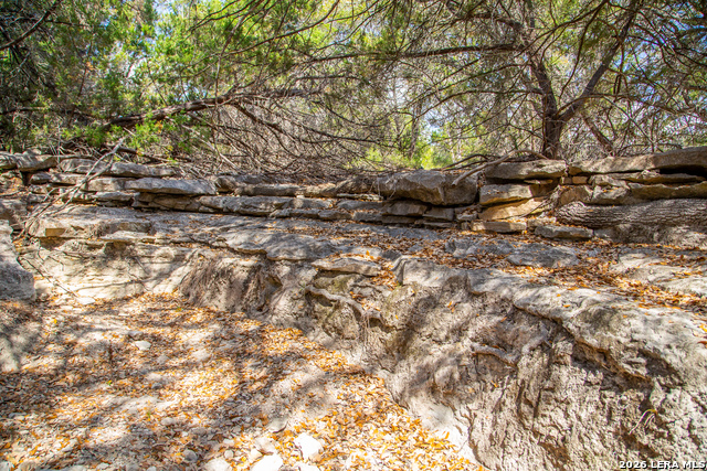 Image 30 of 42 For Tbd Rustling Ridge