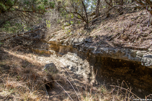 Image 36 of 42 For Tbd Rustling Ridge