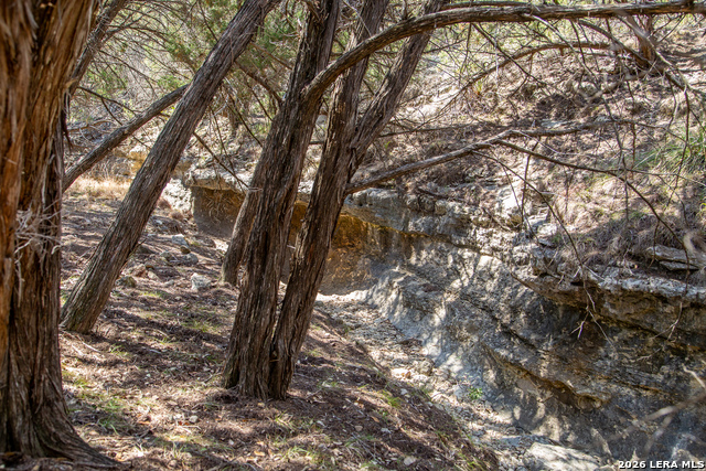 Image 38 of 42 For Tbd Rustling Ridge