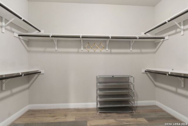 Image 17 of 37 For 8303 Dianthus Stead