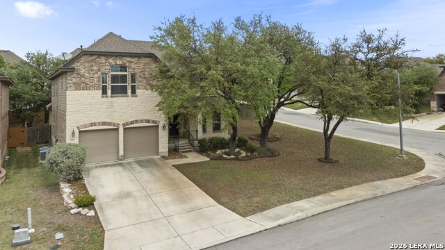 Image 2 of 37 For 8303 Dianthus Stead