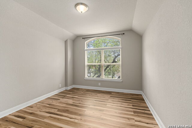 Image 22 of 37 For 8303 Dianthus Stead