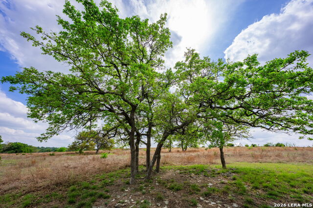 Image 40 of 47 For 830 Camino Cantera