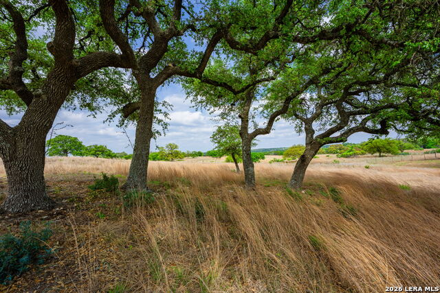 Image 42 of 47 For 830 Camino Cantera