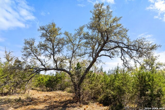 Image 33 of 42 For 19 Stone Ridge Mountain Dr