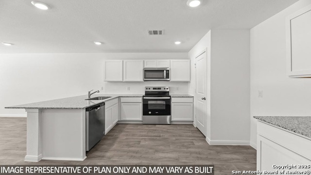 Image 6 of 6 For 14860 Gold Lace Cactus