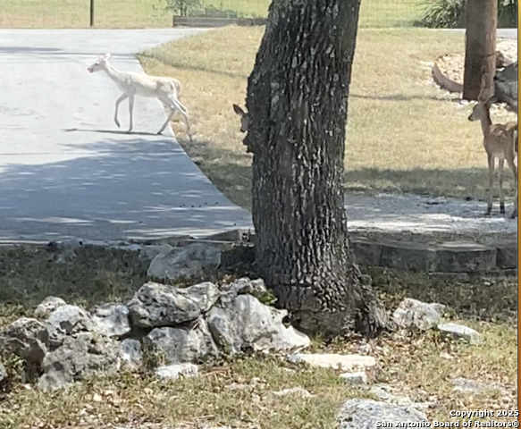 Image 27 of 27 For 1254 Village Shore Dr