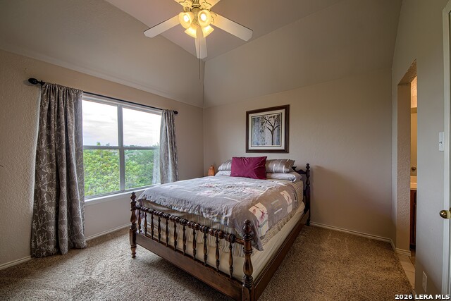 Image 25 of 40 For 3515 Edge Vw