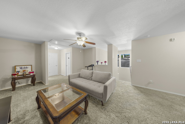 Image 21 of 33 For 307 Big Hawk