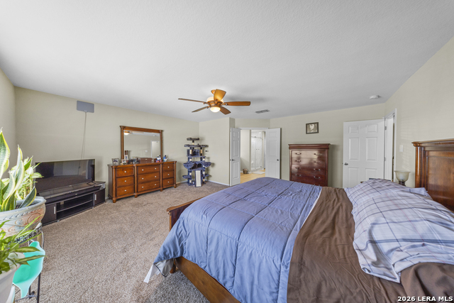 Image 23 of 33 For 307 Big Hawk