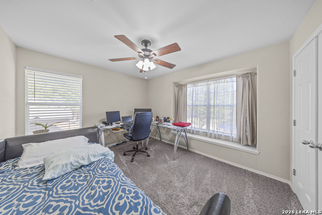 Image 27 of 33 For 307 Big Hawk