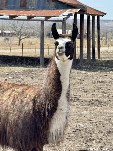 Image 49 of 60 For 4515 Stapper Rd