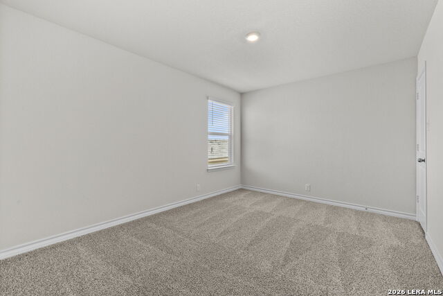 Image 19 of 30 For 110 Tawny Owl