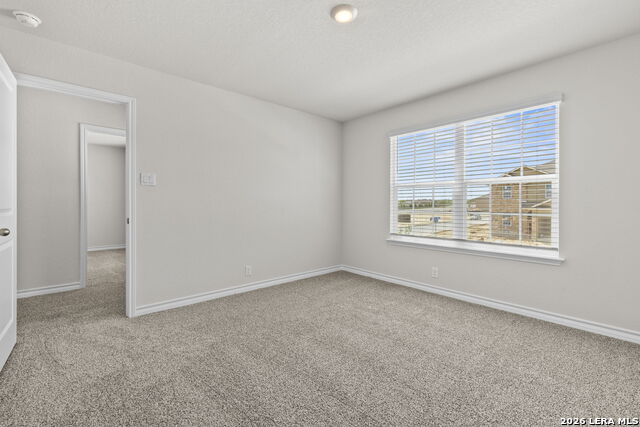 Image 22 of 30 For 110 Tawny Owl