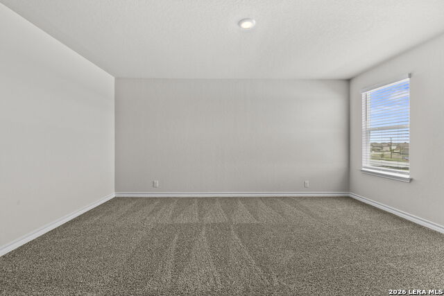 Image 25 of 30 For 110 Tawny Owl