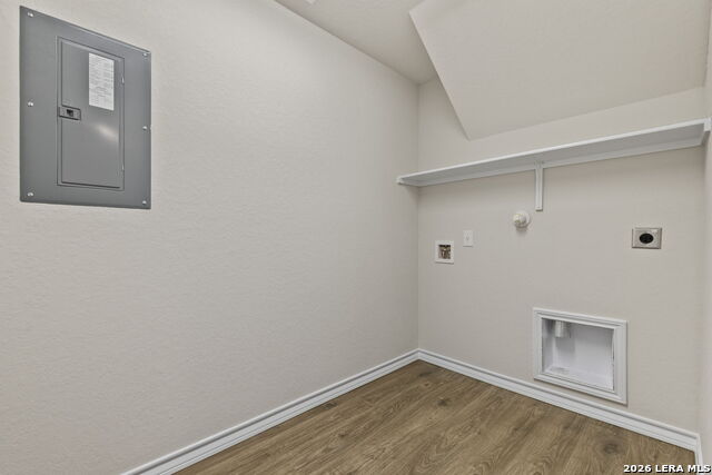 Image 4 of 30 For 110 Tawny Owl