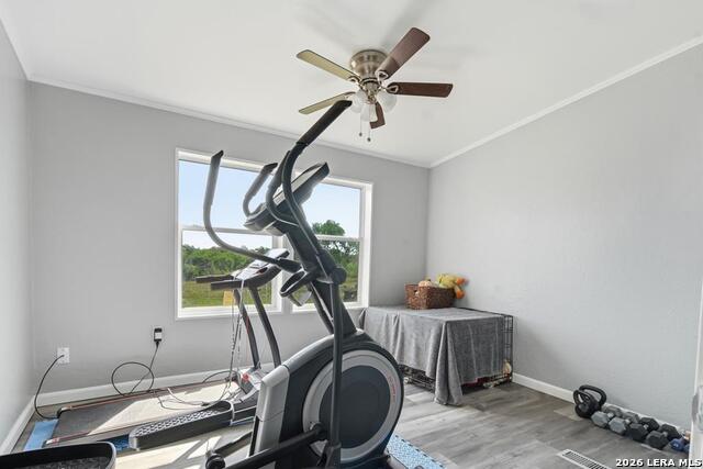 Image 16 of 37 For 247 Pr 4550  