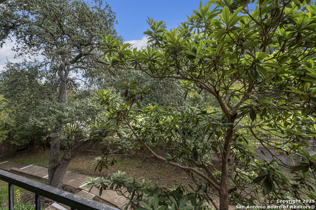 Image 24 of 28 For 1819 Babcock Rd  704