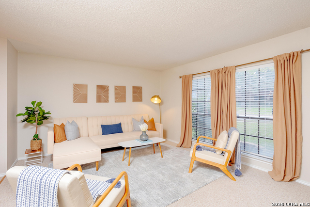 Image 20 of 42 For 13718 Pebble Point Dr