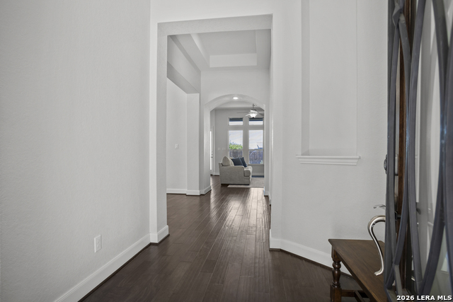 Image 5 of 37 For 9011 Whimsey