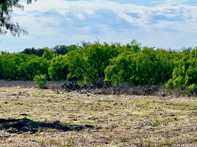 Image 4 of 8 For 5967 Granato Rd