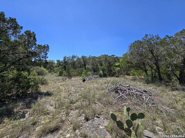 Image 3 of 6 For 102 County Road 2732