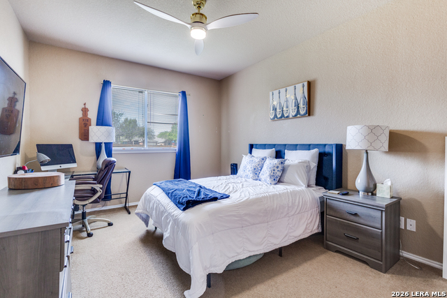 Image 12 of 25 For 8507 Driftwood Hl