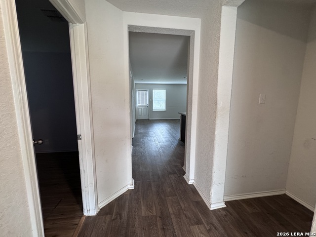 Image 4 of 18 For 106 Moscovy Duck