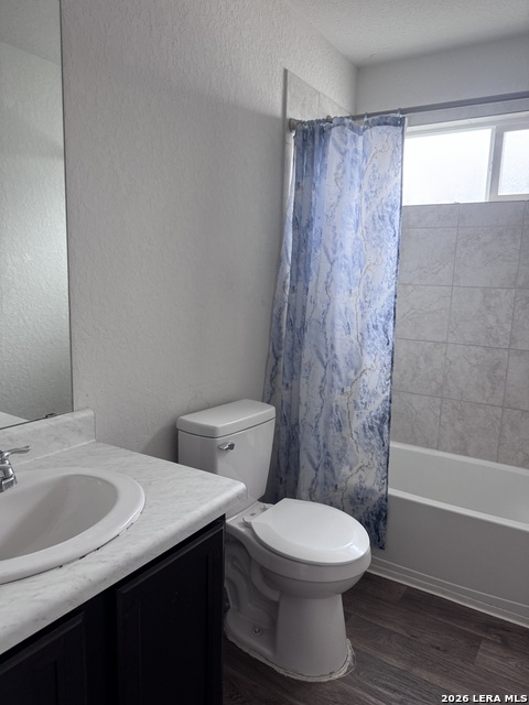 Image 5 of 18 For 106 Moscovy Duck