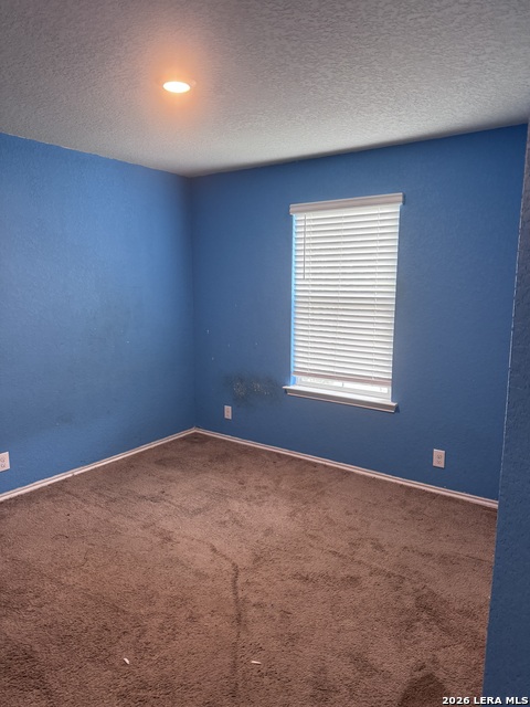 Image 6 of 18 For 106 Moscovy Duck