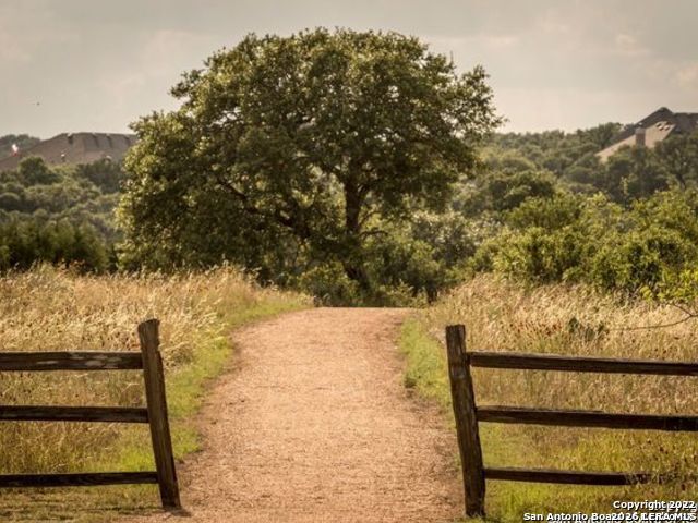 Image 16 of 17 For 0 Tbd Labrusca