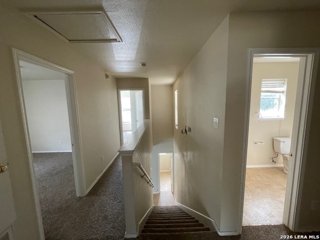 Image 15 of 17 For 120 Booker Palm