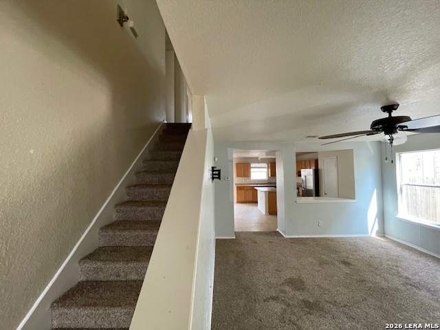 Image 4 of 17 For 120 Booker Palm