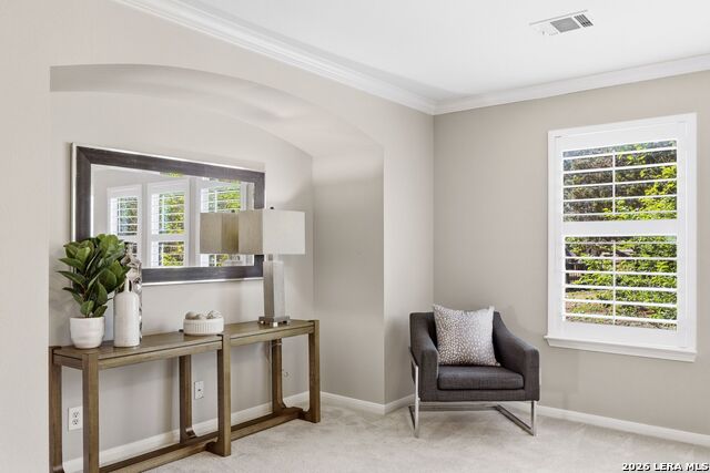 Image 31 of 38 For 831 Queens Oak