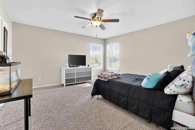 Image 20 of 37 For 13307 Sunset Rainbow