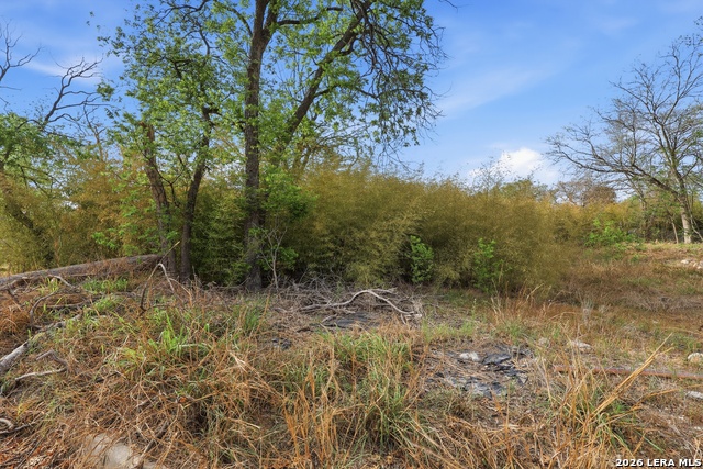 Image 13 of 16 For 124 Mckay Ave