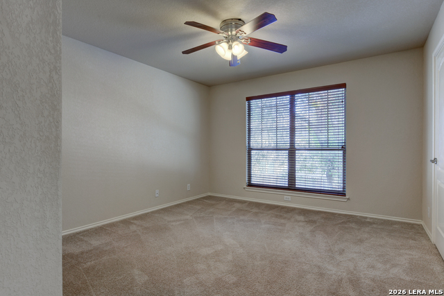 Image 13 of 24 For 6130 Pecan Tree