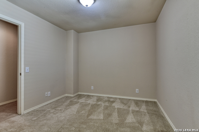 Image 15 of 24 For 6130 Pecan Tree