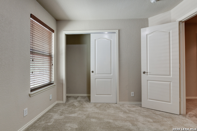 Image 16 of 24 For 6130 Pecan Tree