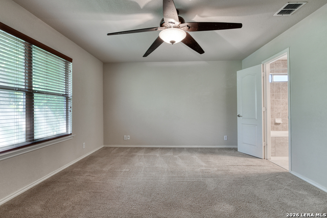 Image 18 of 24 For 6130 Pecan Tree