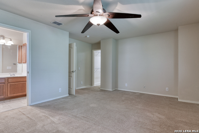 Image 19 of 24 For 6130 Pecan Tree