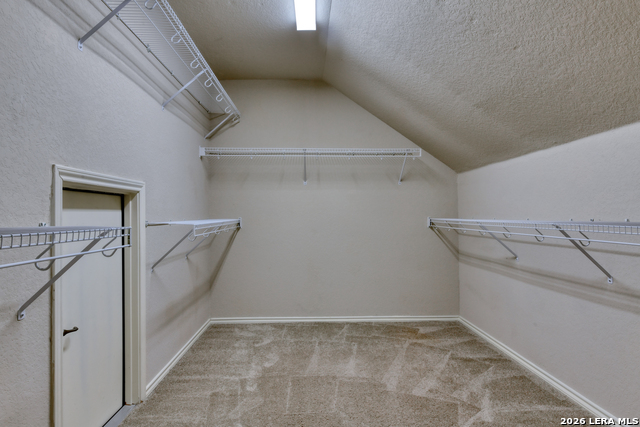 Image 22 of 24 For 6130 Pecan Tree