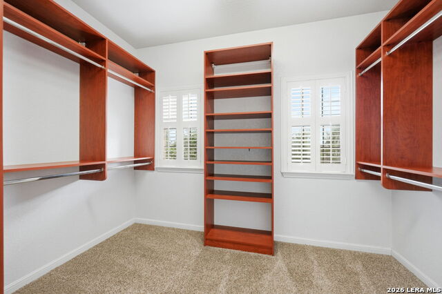 Image 30 of 46 For 819 Tiger Lily